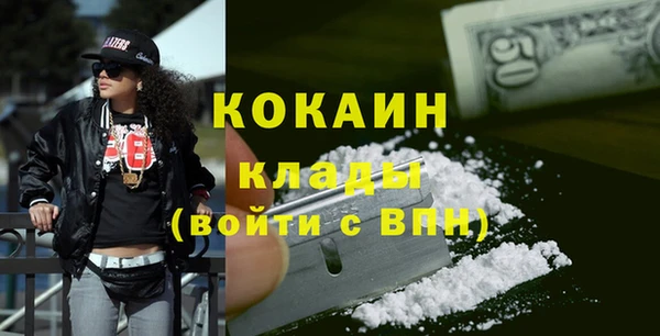 соль ск Инсар